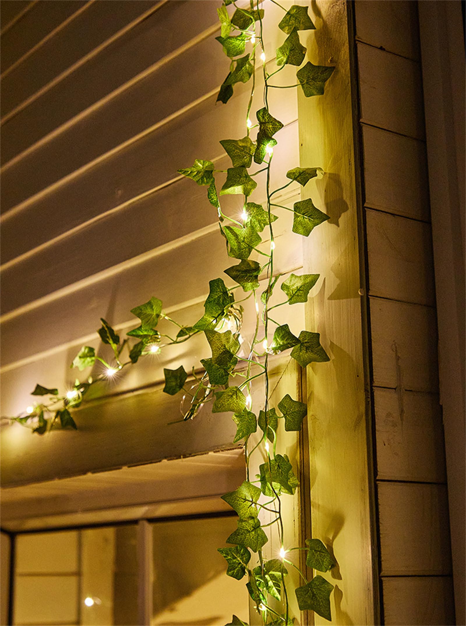 View 3