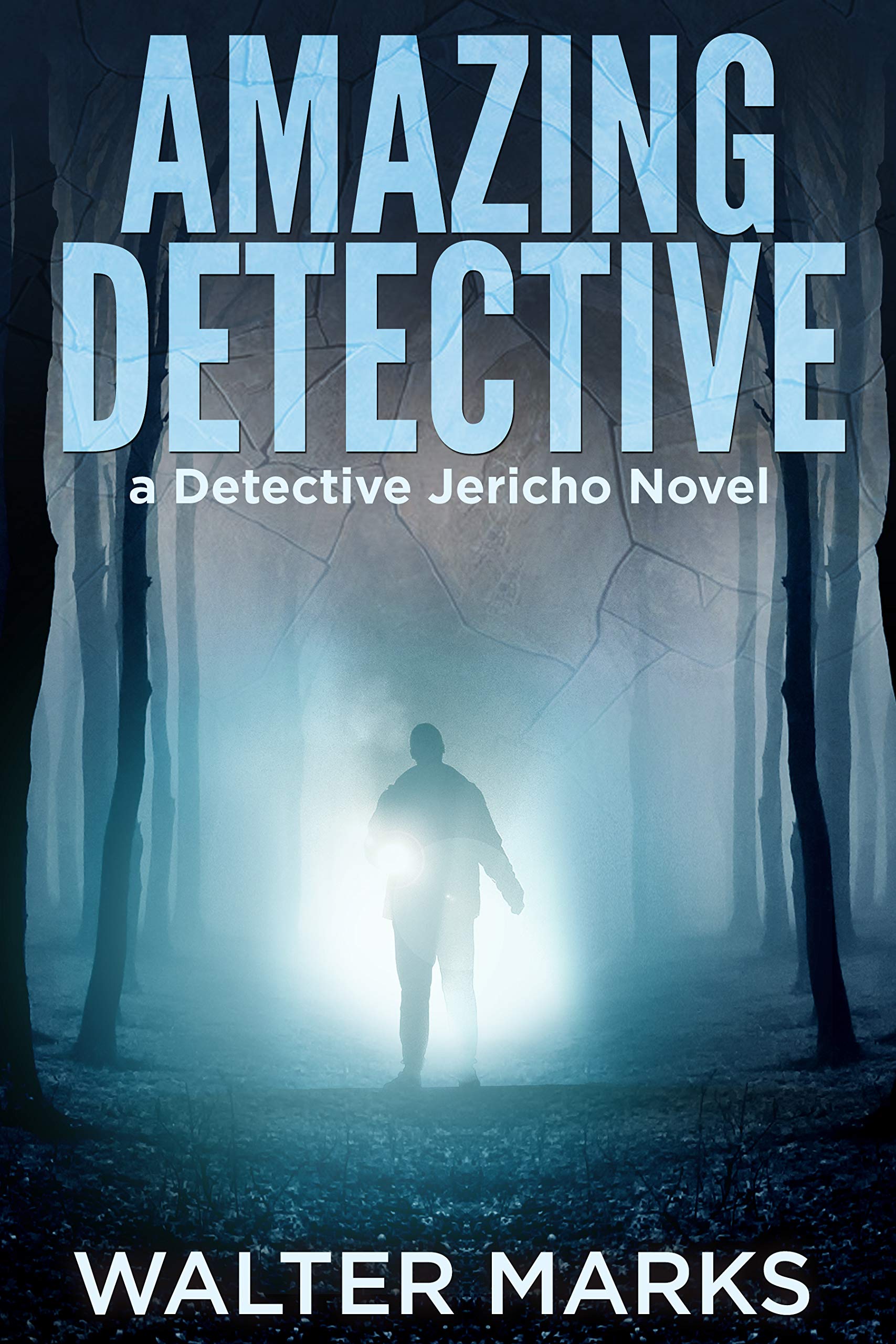 Amazing Detective (The Detective Jericho series Book 5)