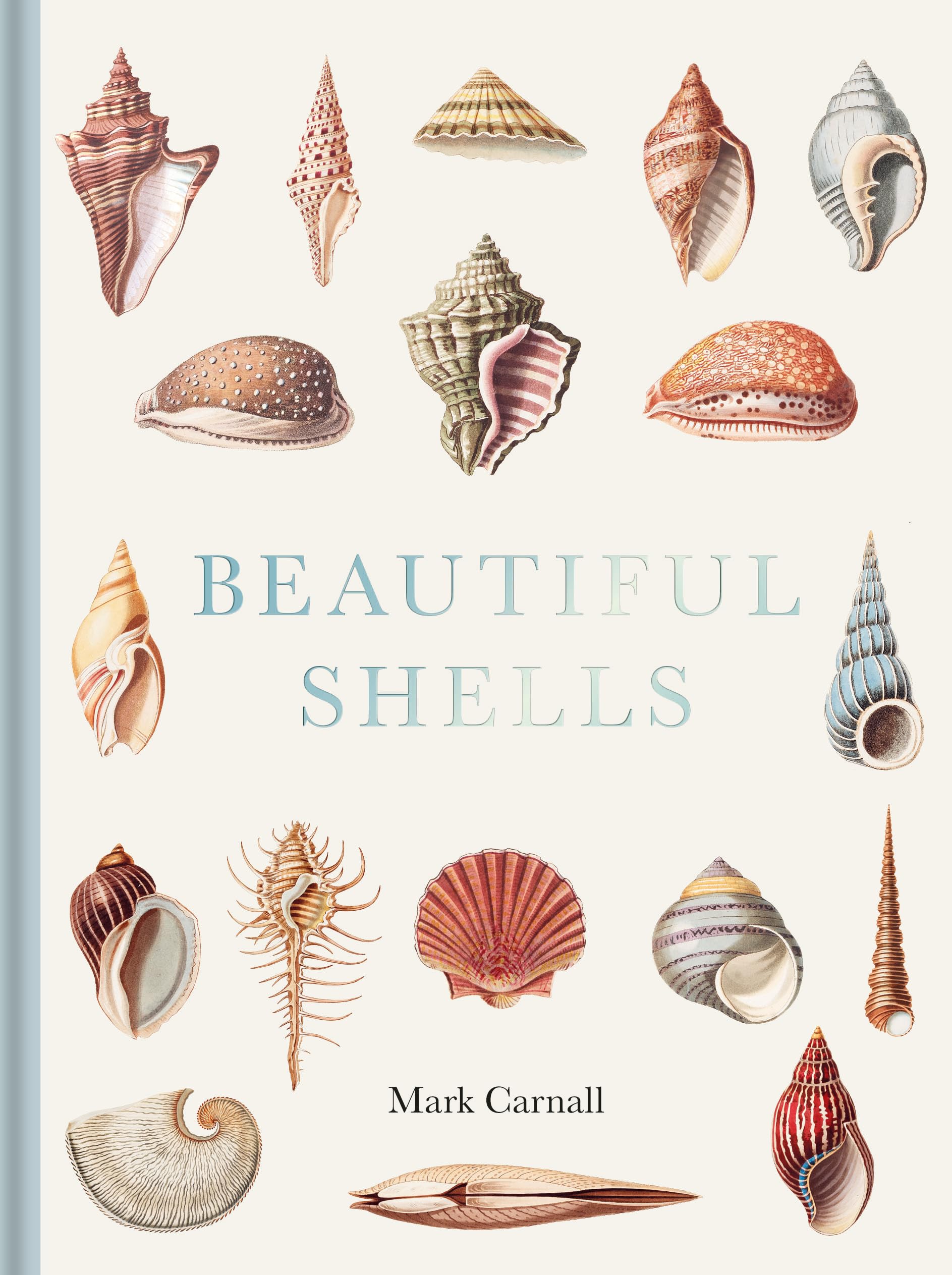 Beautiful Shells Carnall Hardback The Bodleian Library 9781851246168