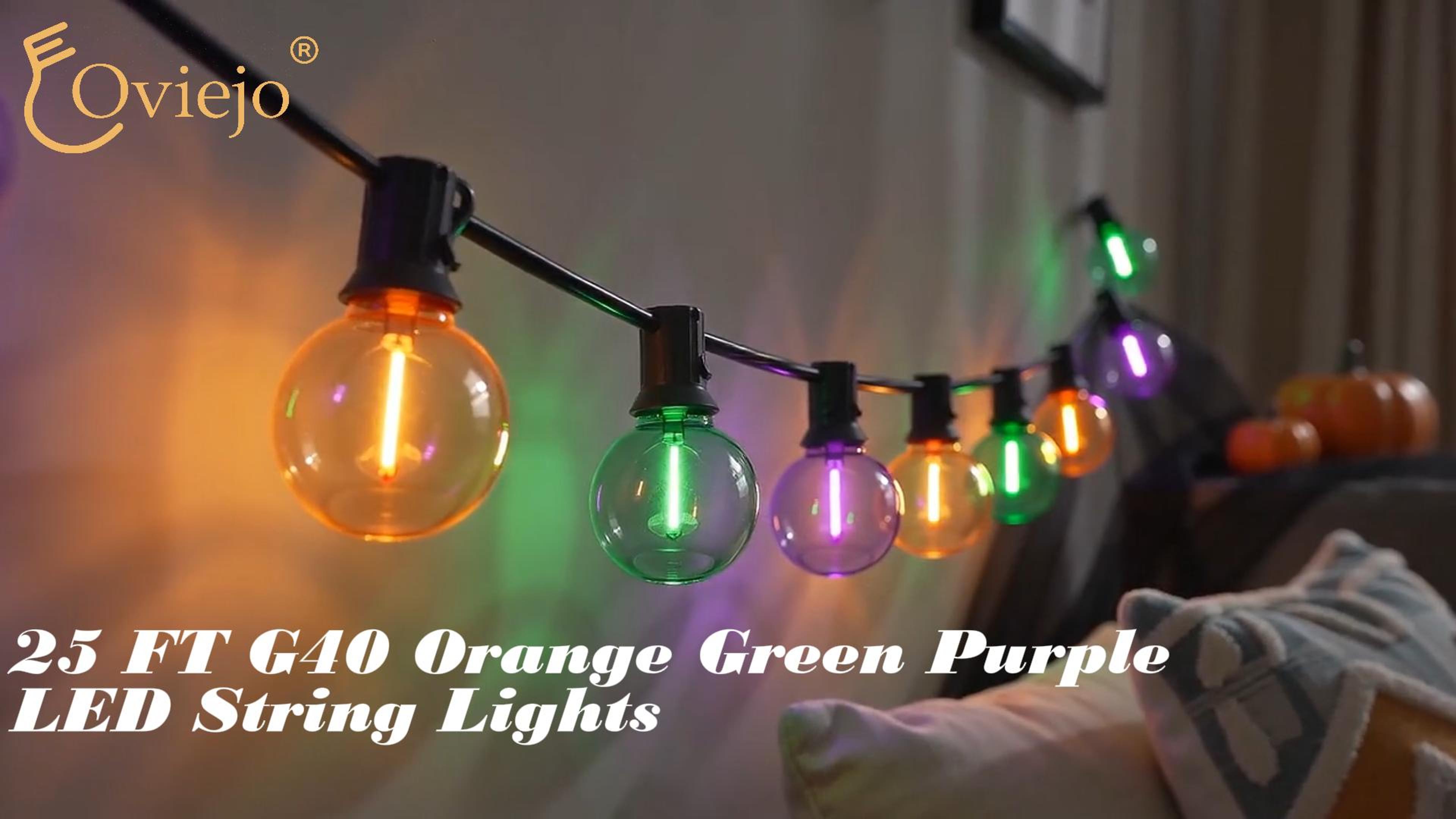 25 FT G40 Halloween Outdoor String Lights, 27 LED Bulbs for