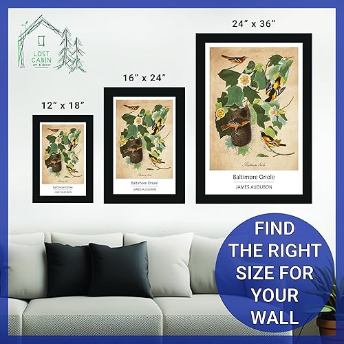 Vista 211 de Towee Bunting by James Audubon - Marco biselado negro de 12 x 16 pulgadas, decoración artística enmarcada para pared, reproducción de pinturas
