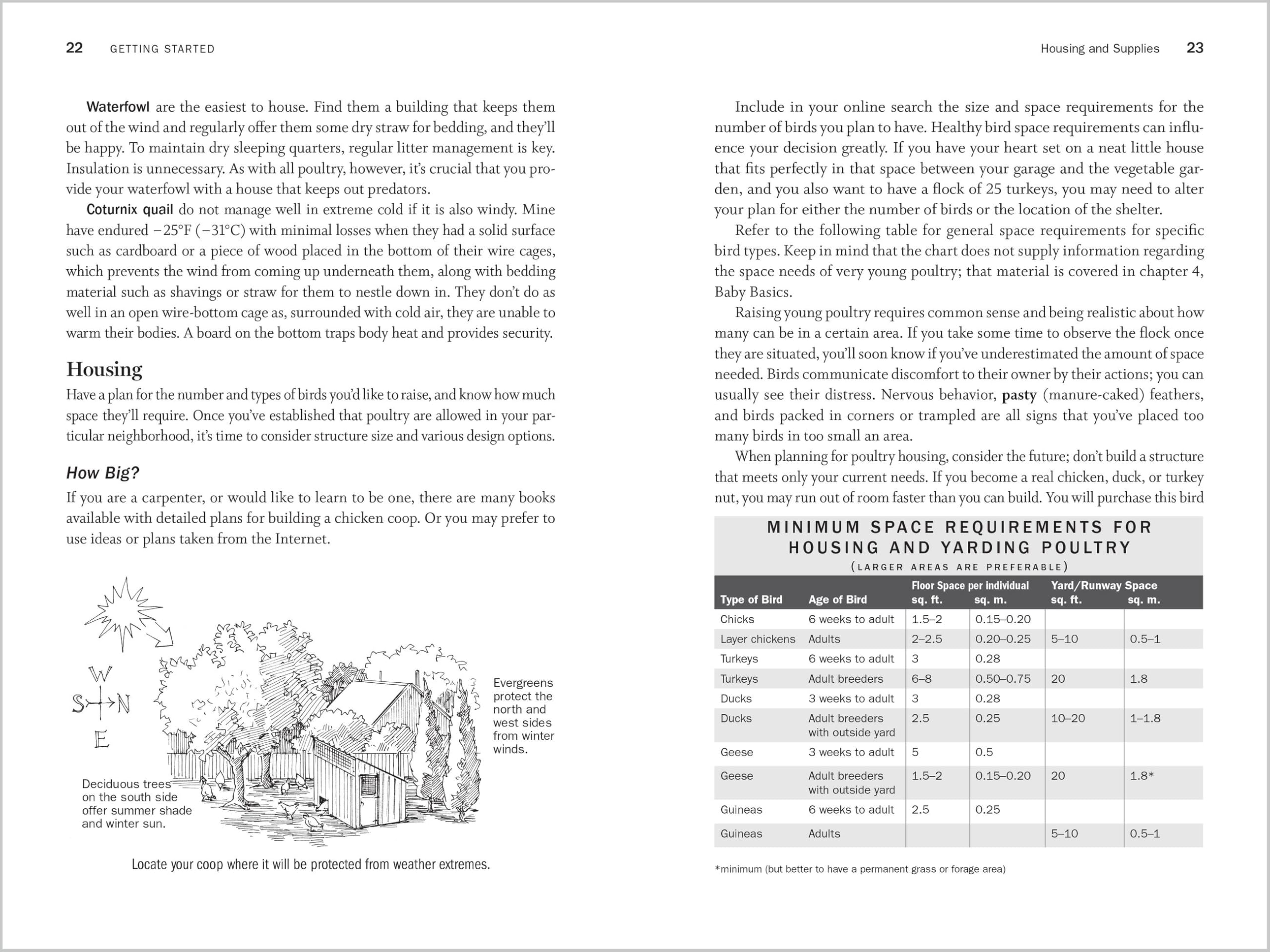 Storey's Guide to Raising Poultry: Chickens, Turkeys, Ducks, Geese, Guineas, Game Birds