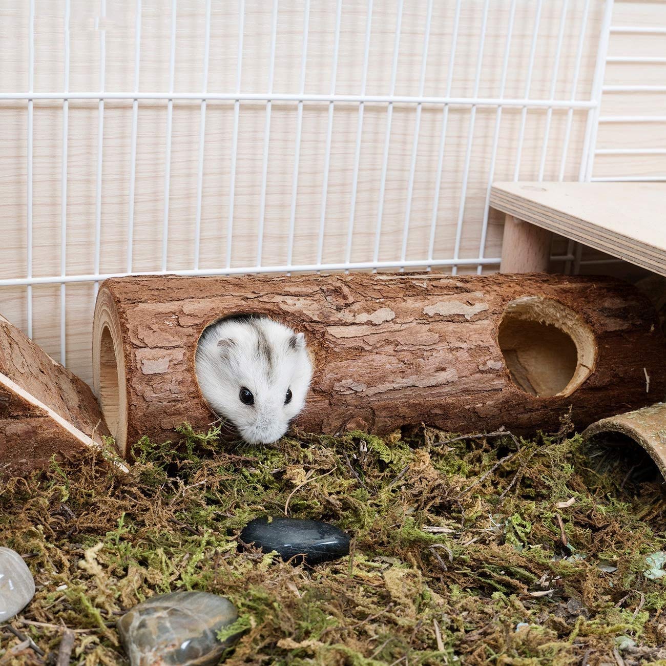 Hamster Wippen-Tunnel Spielzeug – Aus Kunststoff, Mit Höhle, Für Zwerg- & Rennmäuse