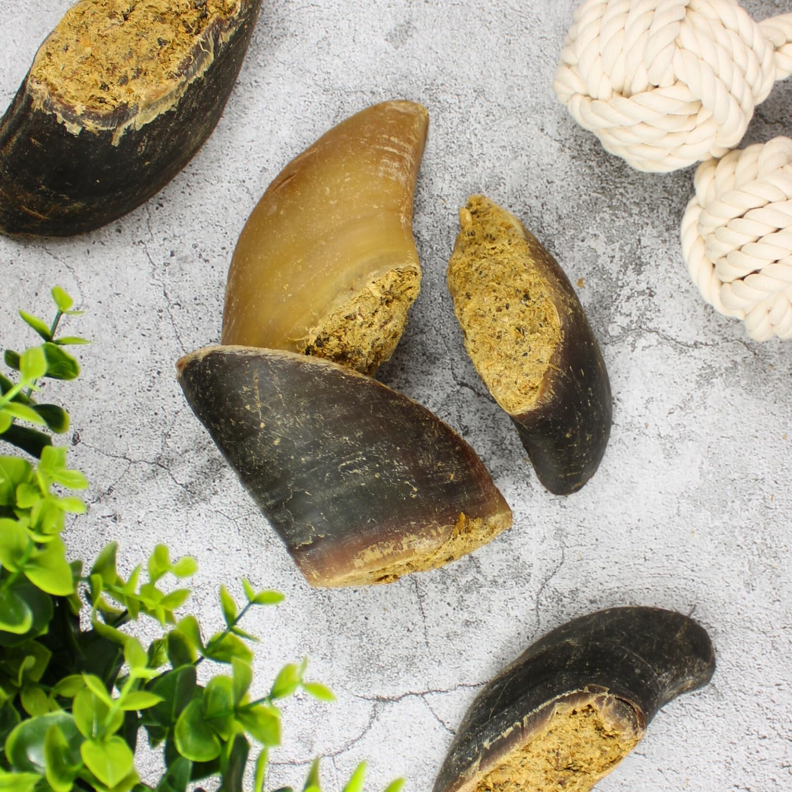 Lyra Pet® 15 STK. Rinderhufe gefüllt mit Pansen und Leber je ca. 120 g | Naturbelassener Kausnack - Ideal für die Zahnpflege - Proteinreiches Leckerli für Hunde - Gut verdaulicher Kauartikel