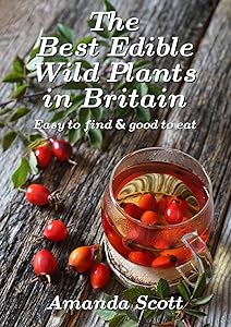 The Best Edible Wild Plants in Britain