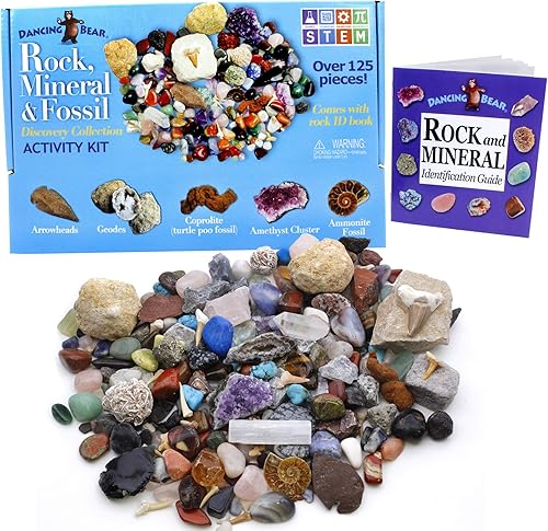 Roca, minerales y fósiles, colección kit de actividades con hojas educativas, amonita, diente de tiburón en matriz, fosilizados, 2geodas y flechas,