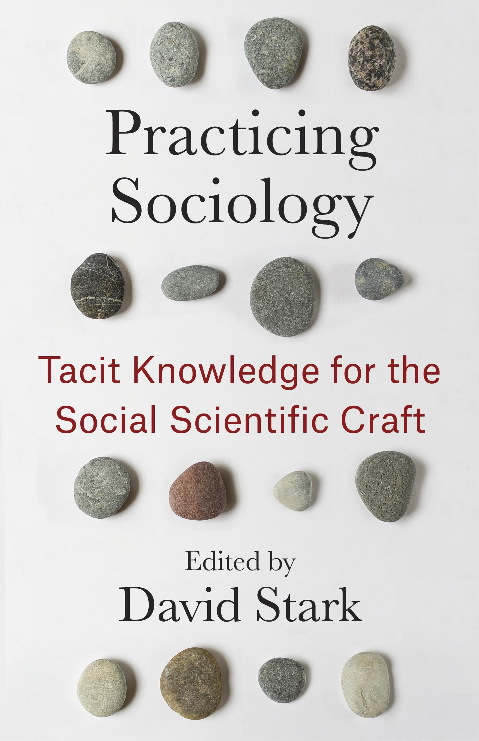 Practicing Sociology by David Stark PAPERBACK 9780231214018