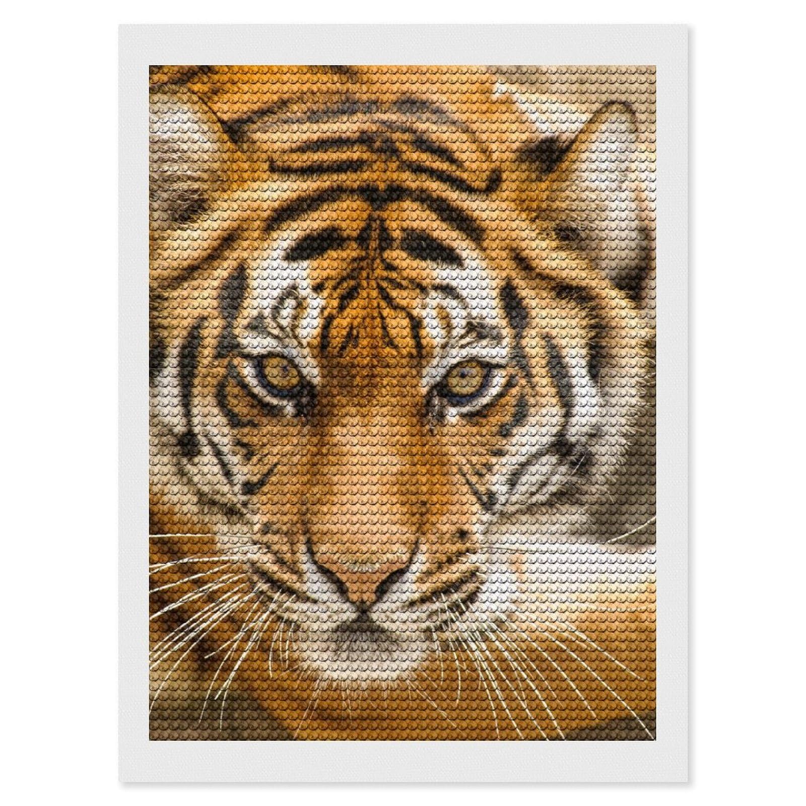 Amazon | ダイヤモンドアート 虎 トラ 動物 ダイヤモンド絵画 5D 