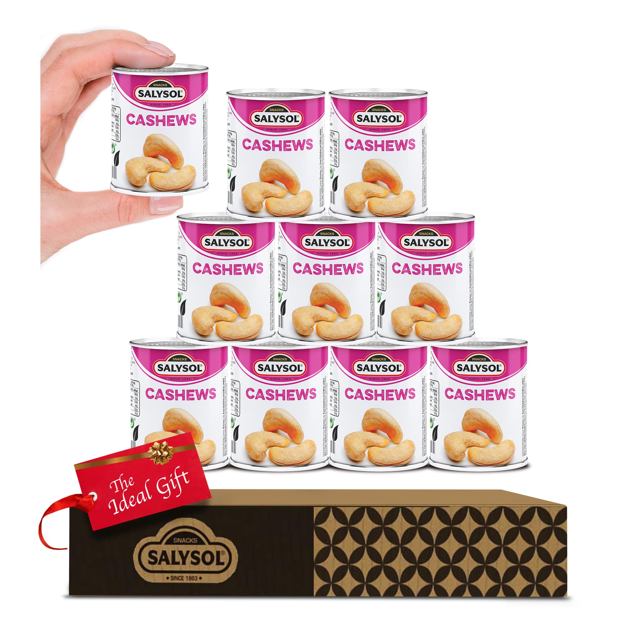 Salysol Snacks Nuts Salted Cashews 10 x 50g Cans - Delicious Pure Natural Nuts for Snacking, Meals, and Cooking - Gift Sets for Men and Women in Gift Box