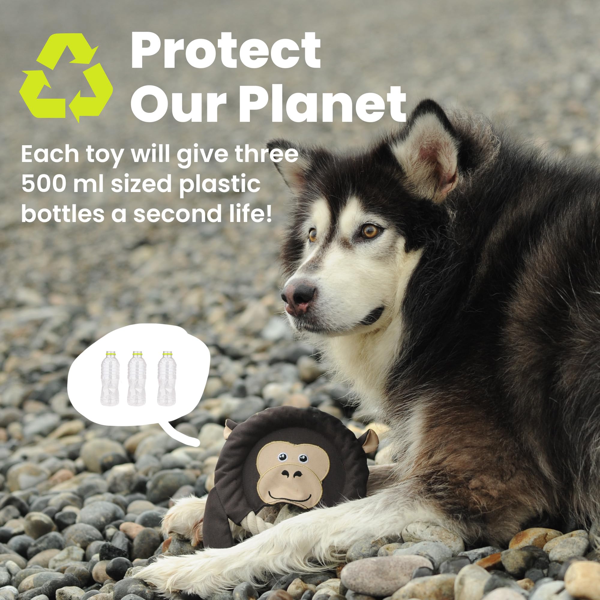 PAWSPIK Juguete de disco volador, material reciclado ecológico, juguete chirriante para perros medianos y grandes, para lanzar y buscar 8.5 pulgadas de diámetro (tigre de masa)