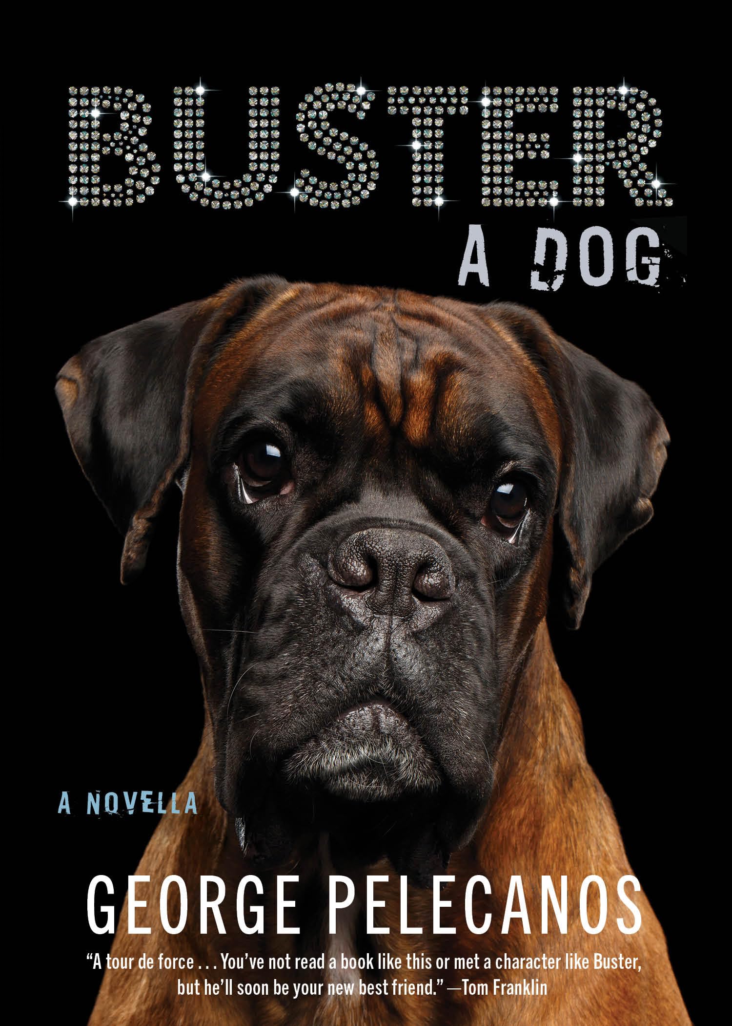 Buster A Dog Pelecanos, 9781636141701 Books