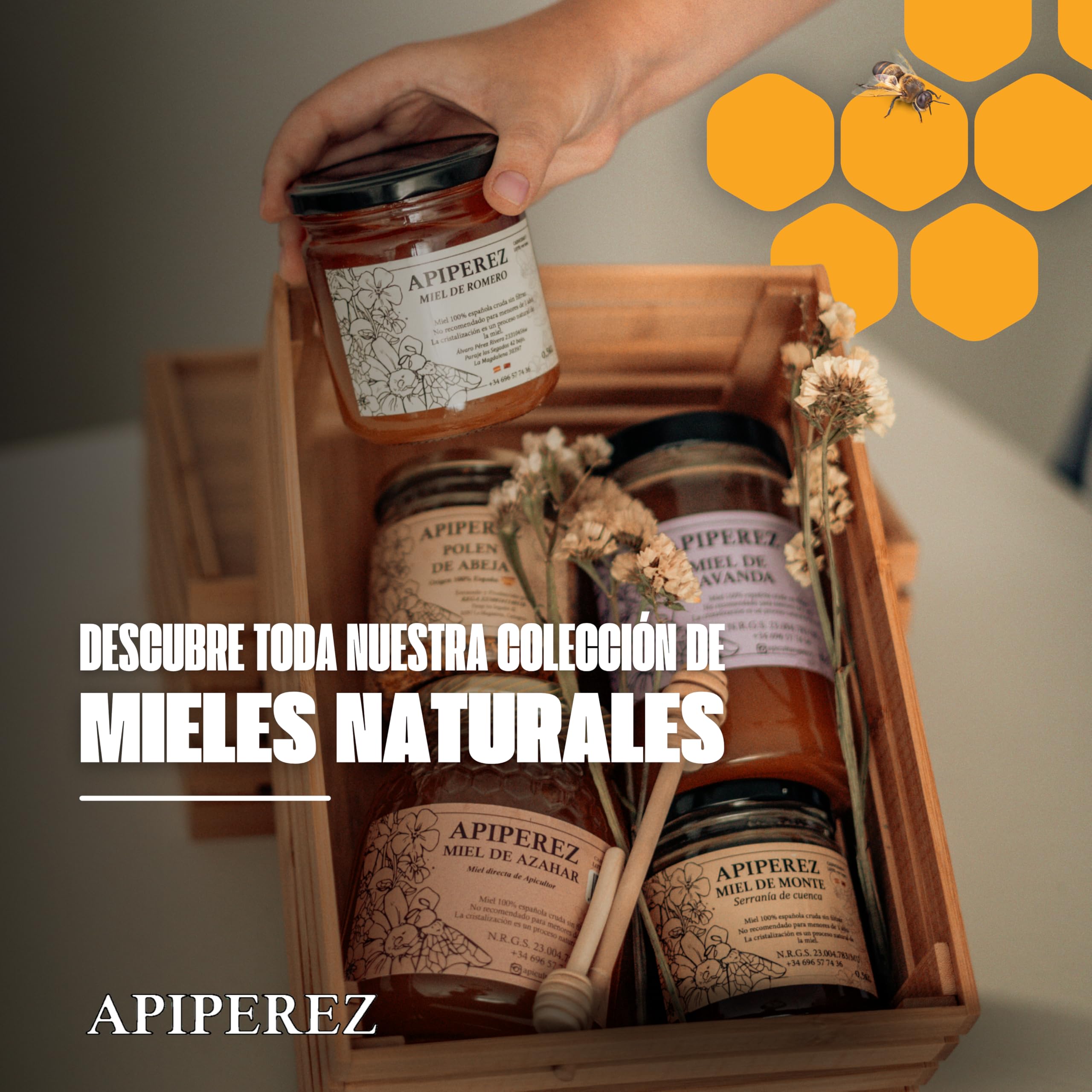 APIPEREZ Miel Cruda de Monte 1 kg – Miel Natural de Mielato, Antioxidante y Antimicrobiana – Sabor Intenso y Color Ámbar Oscuro