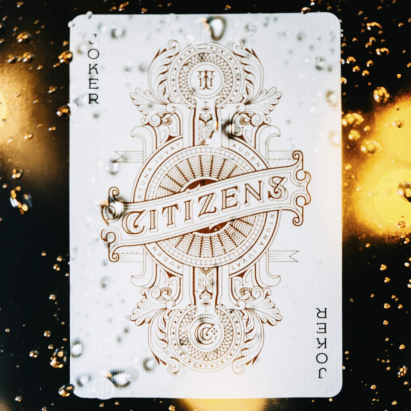 theory11 Citizen Playing Cards,Brown