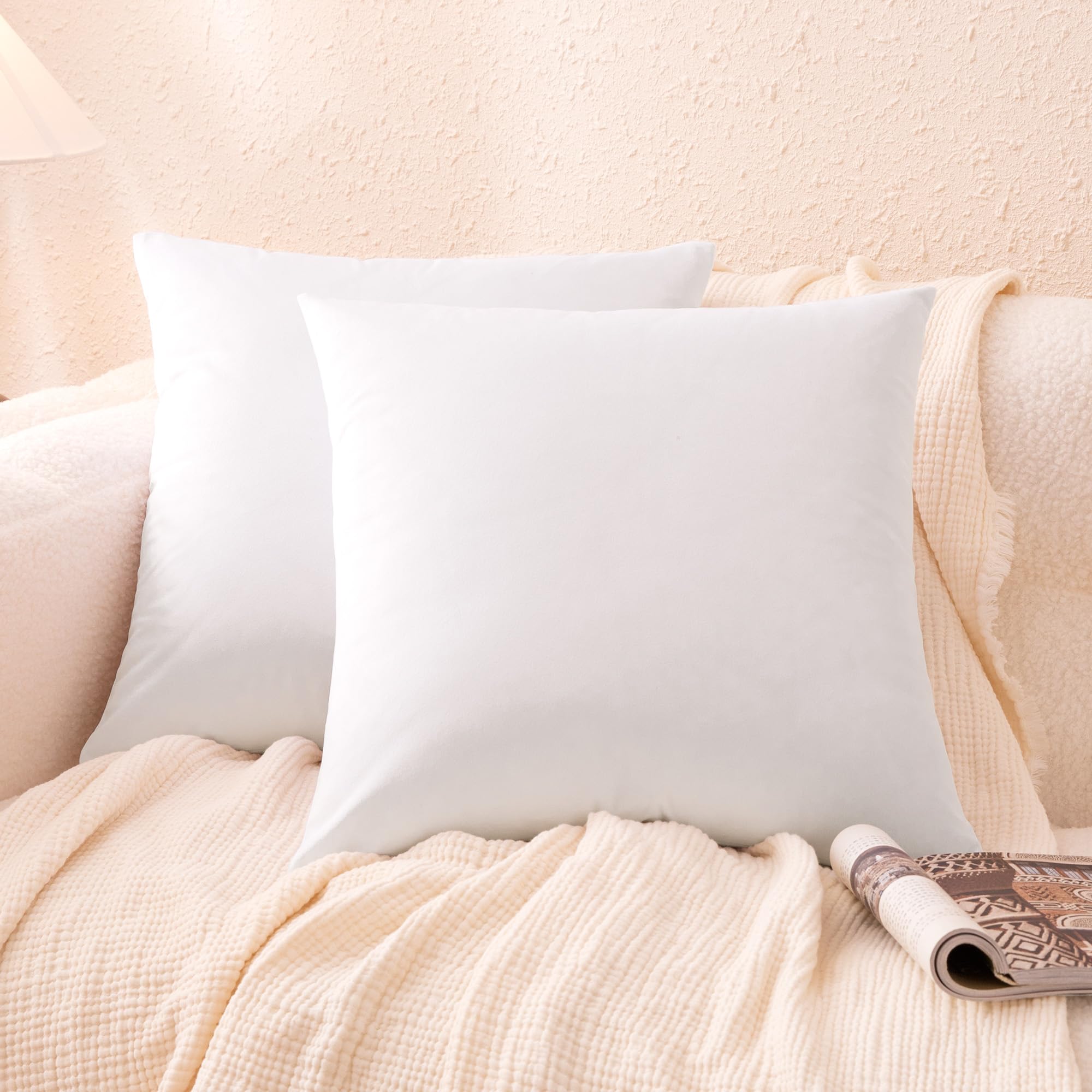 

                                                    Amazon Basics Velvet Throw Pillow Covers, Soft Dec