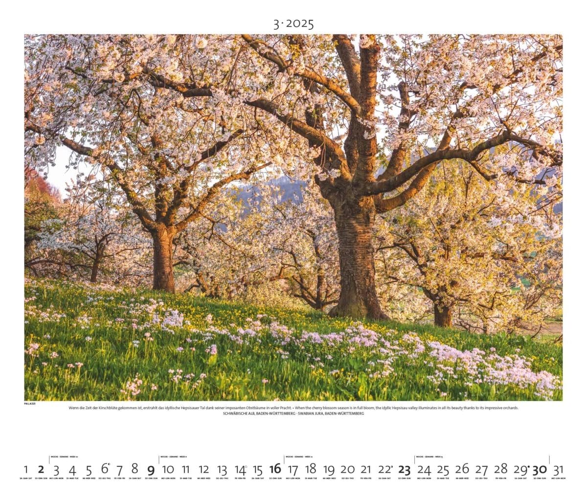PALAZZI - Naturland Deutschland 2025 Wandkalender, 60x50cm, Posterkalender mit schönen Bildern aus Nationalsparks und Naturschutzgebieten, Felder, Wiesen und Wälder