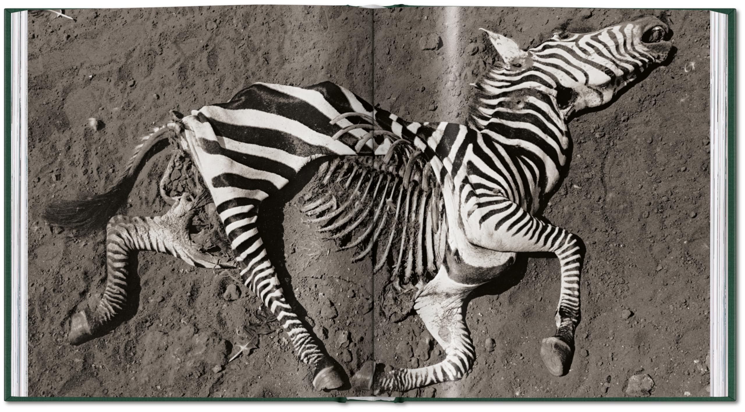 Peter Beard: The End of the Game