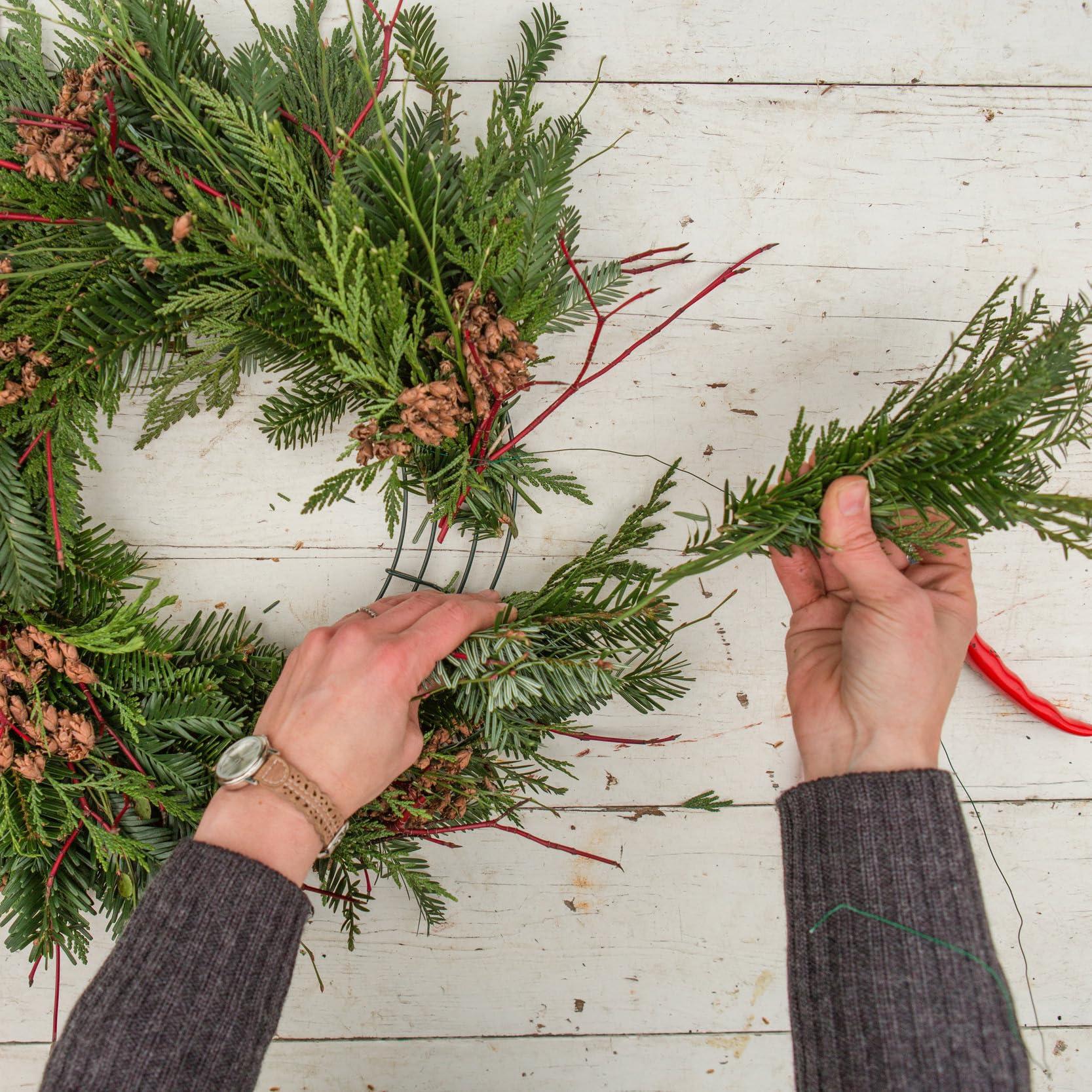 Amazon.co.jp: MTB Garden 16インチ クリスマス ワイヤー リース