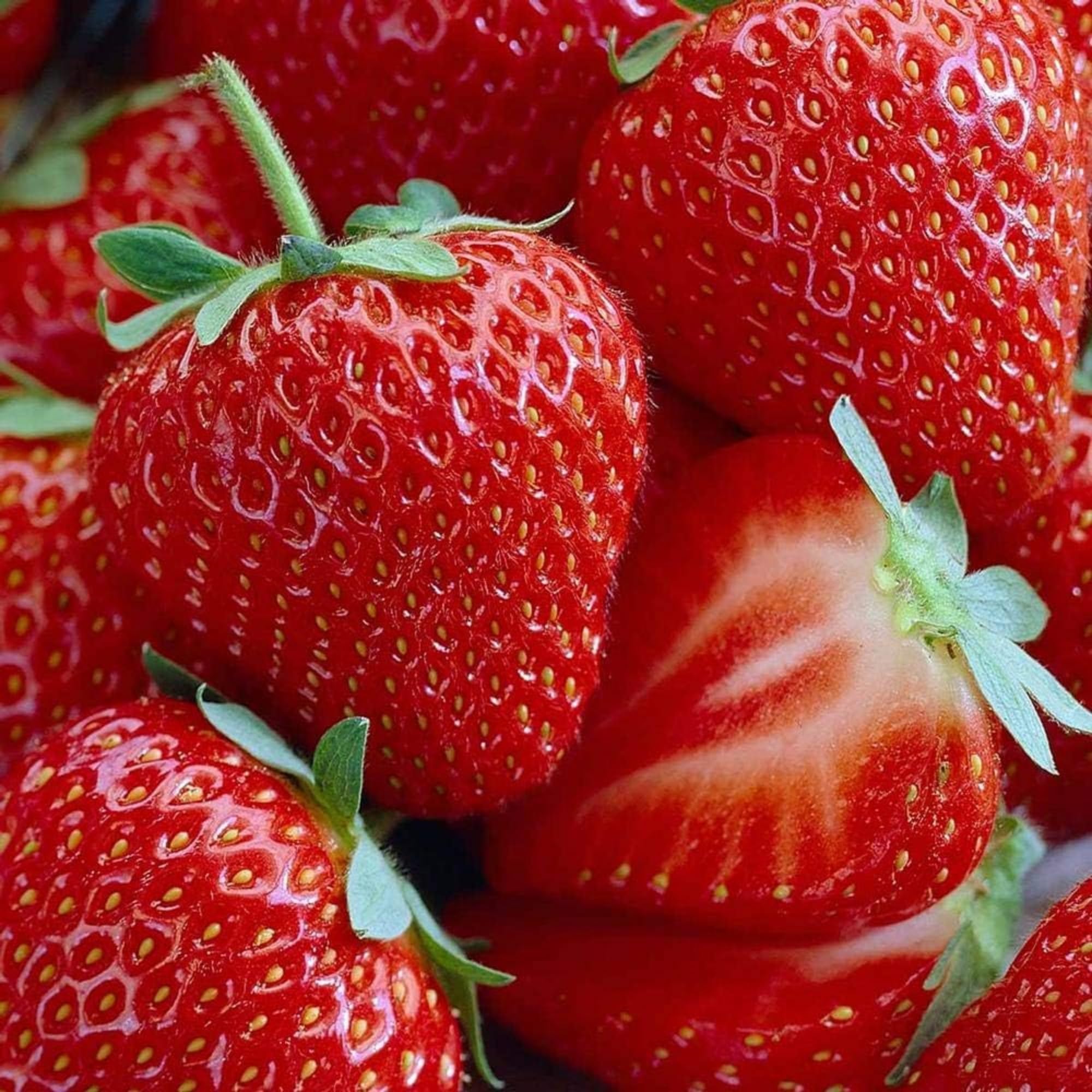 Strawberry Seeds for Planting - 2000+ Red Strawberry Seeds Non-GMO Organic Strawberry Seeds Healthy Sweet Fruit for Home Garden