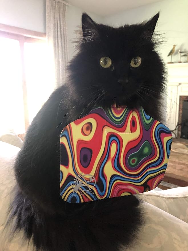 cat bib
