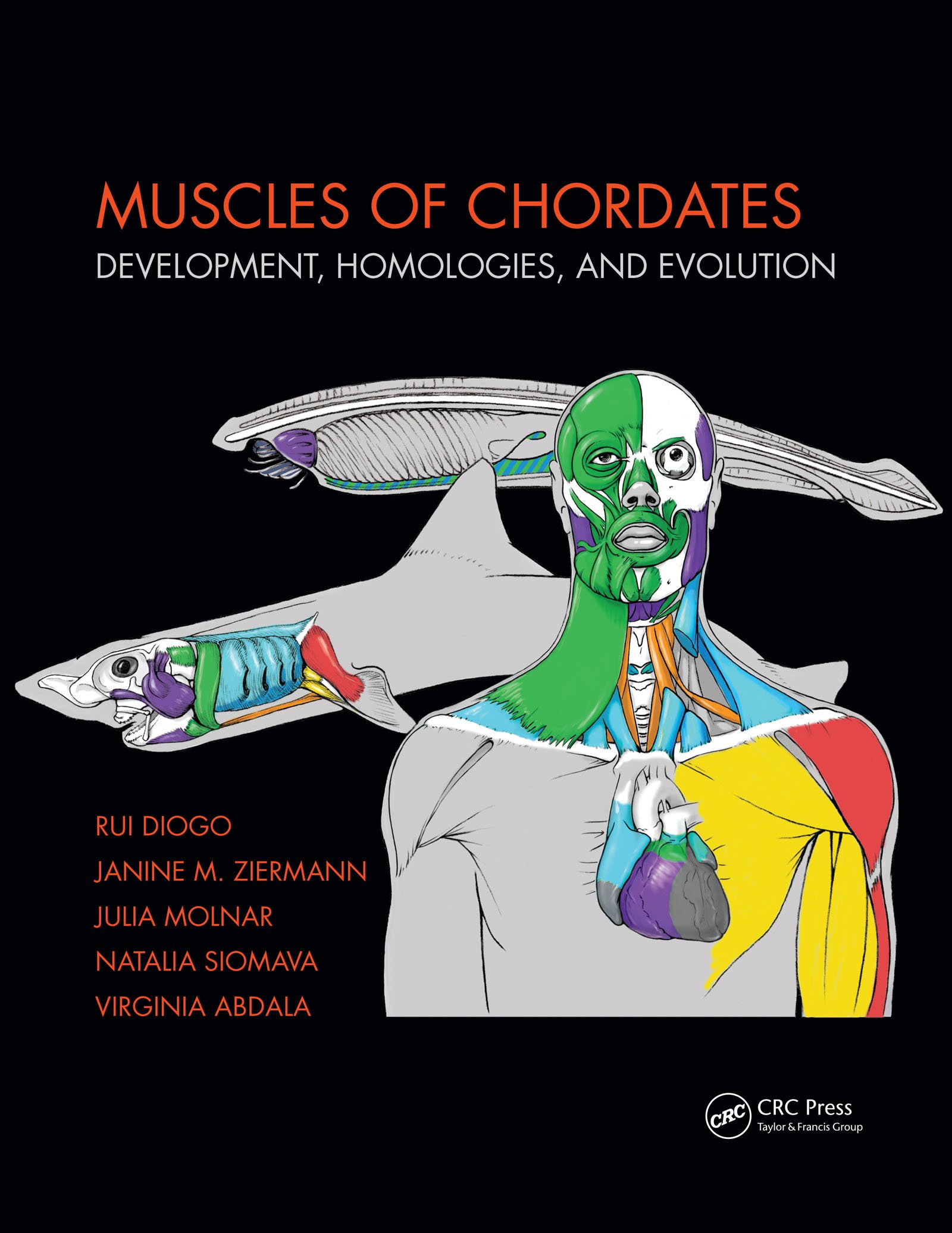 Muscles of Chordates: Development, Homologies, and Evolution (English Edition)