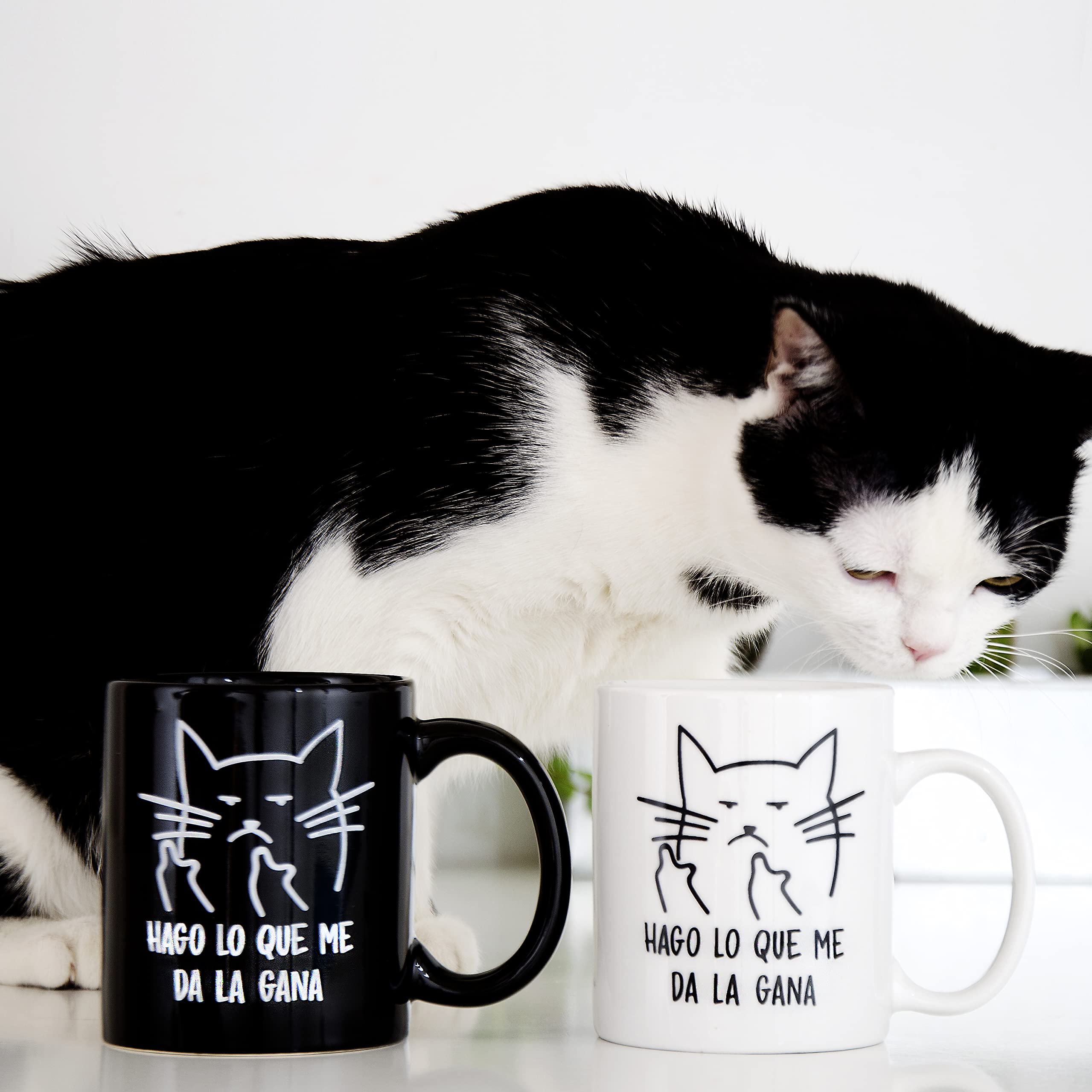 Mug Je travaille dur pour que mon chat puisse avoir une vie meilleure, Bureau d'un ami, Noël, anniversaire, Imprimé des deux côtés 6 couleurs - France