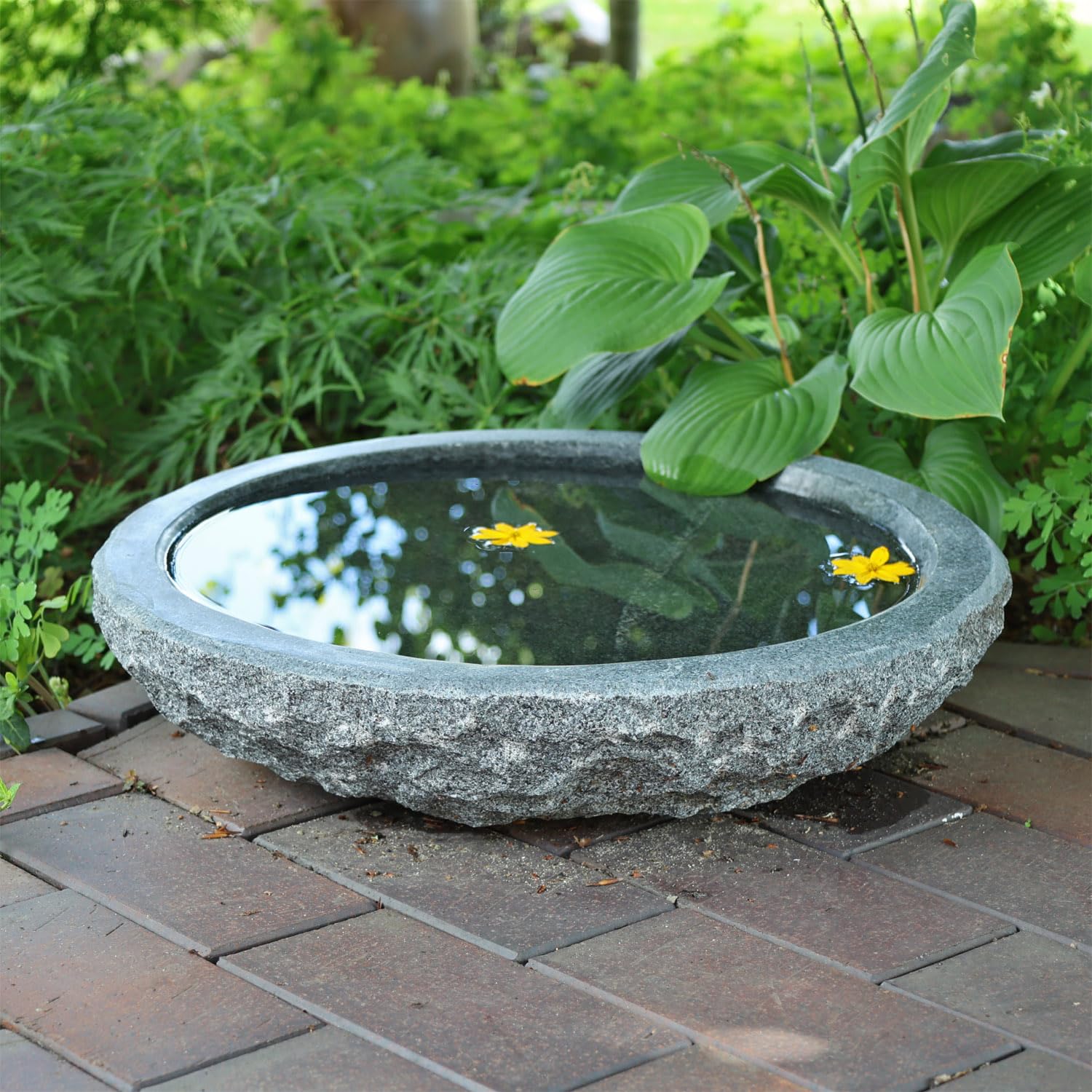 CLGarden Naturstein Wasserschale GVT2 aus Granit Ø 46cm Vogeltränke groß Garten Stein Boden Vogel Bad frostfest