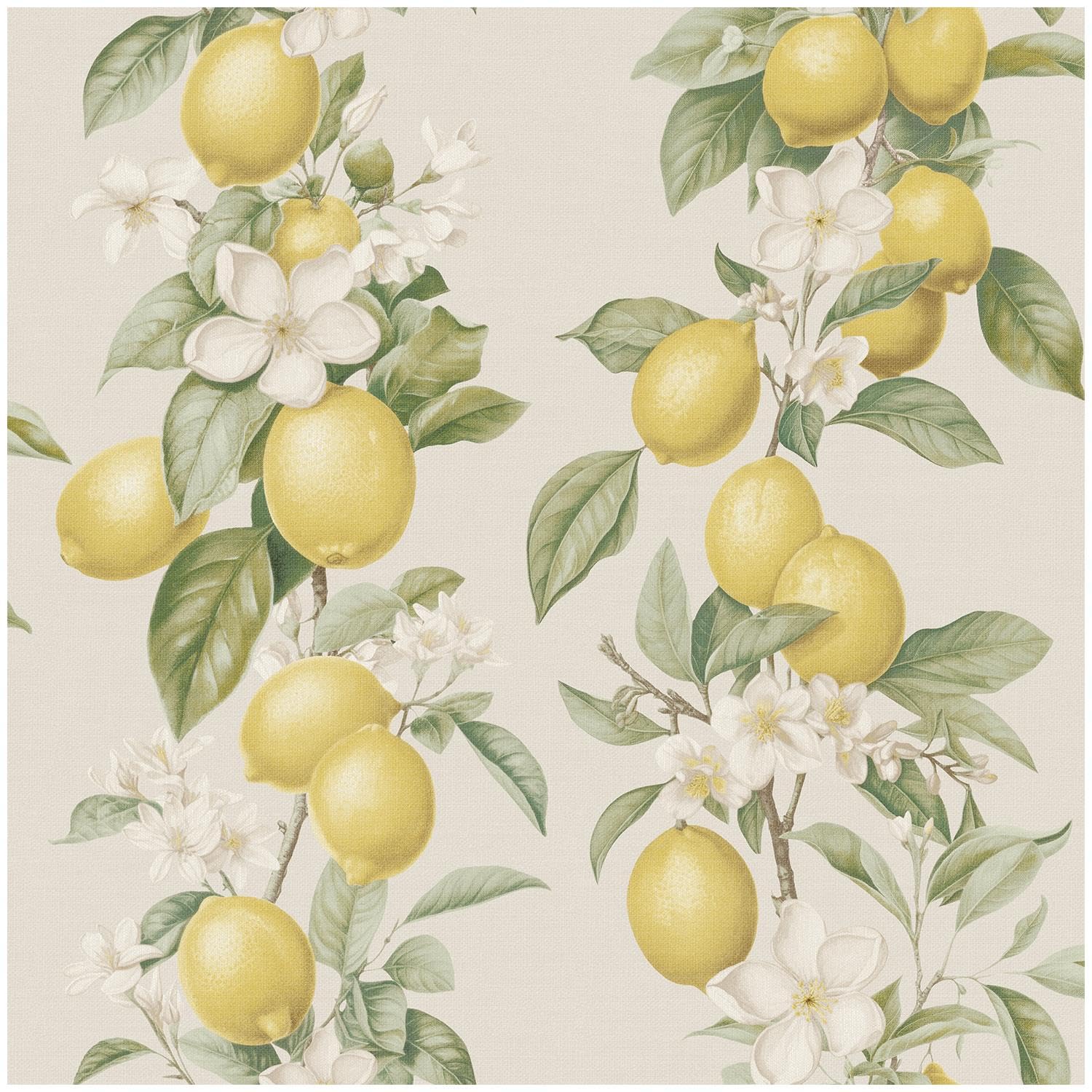 YöL Lemon Blossom Wallpaper Cream Yellow Green Citrus Fruit Floral Wallpaper Traditional Paste The Paper Botanical Kitchen Bedroom Living Room Feature Wall Decor
