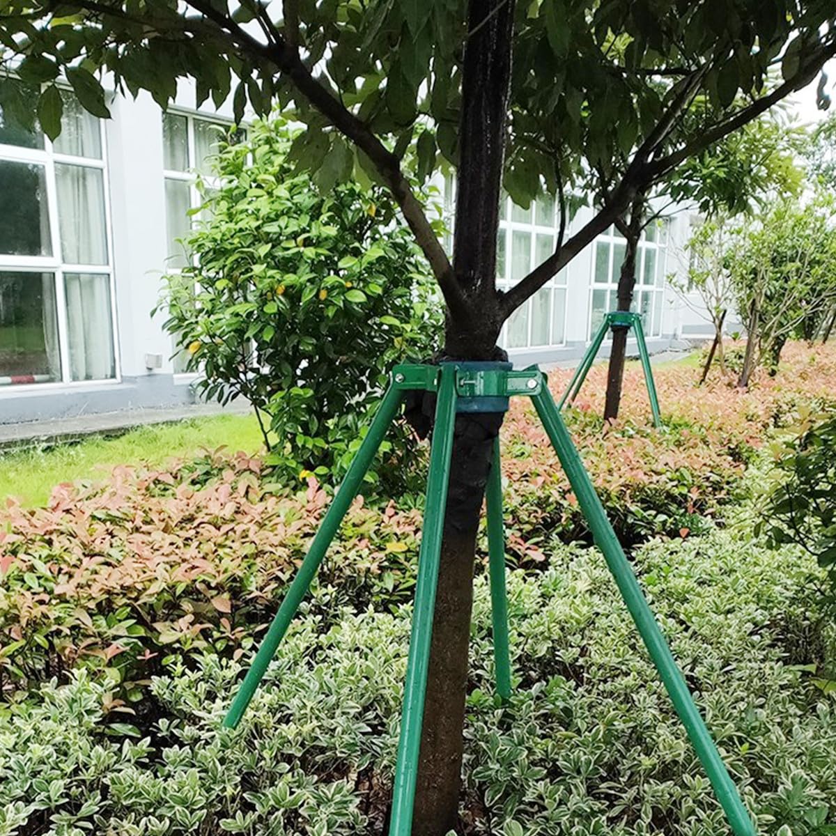 Kisangel Support d'arbre en Fer Rond Vert avec Vis, Fixation Facile pour Arbre en Extérieur, Diamètre 15 Cm, Tuteur Robuste pour Jardin