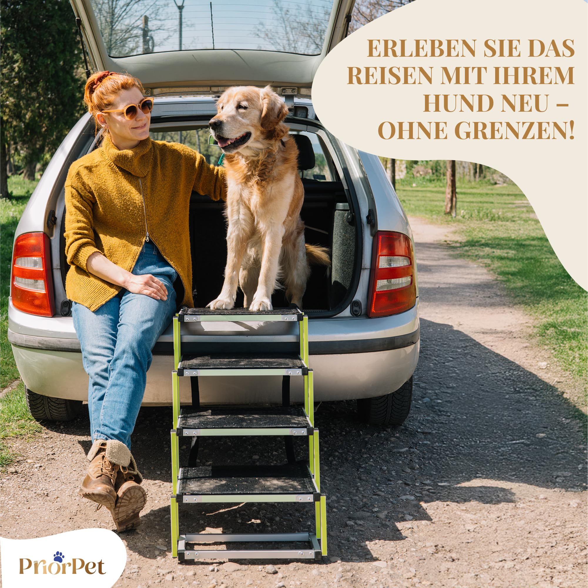 Hundetreppe Auto Klappbar - Hundetreppe Große Hunde - Leuchtende Leitmarkierung - Gelenkschonende Einstiegshilfe Auto Hund - Hundeleiter Faltbar mit Anti-rutsch Einsatz - 77kg Tragkraft - 4 Stufen