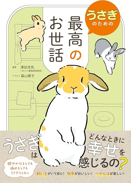 うさぎのための最高のお世話