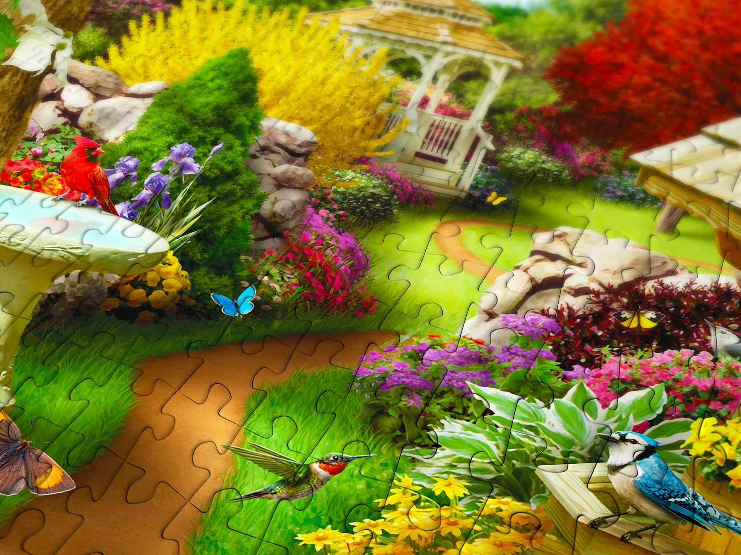 Amazon.com: 1000 Pieces Jigsaw Puzzle for Adults – Matte Finish