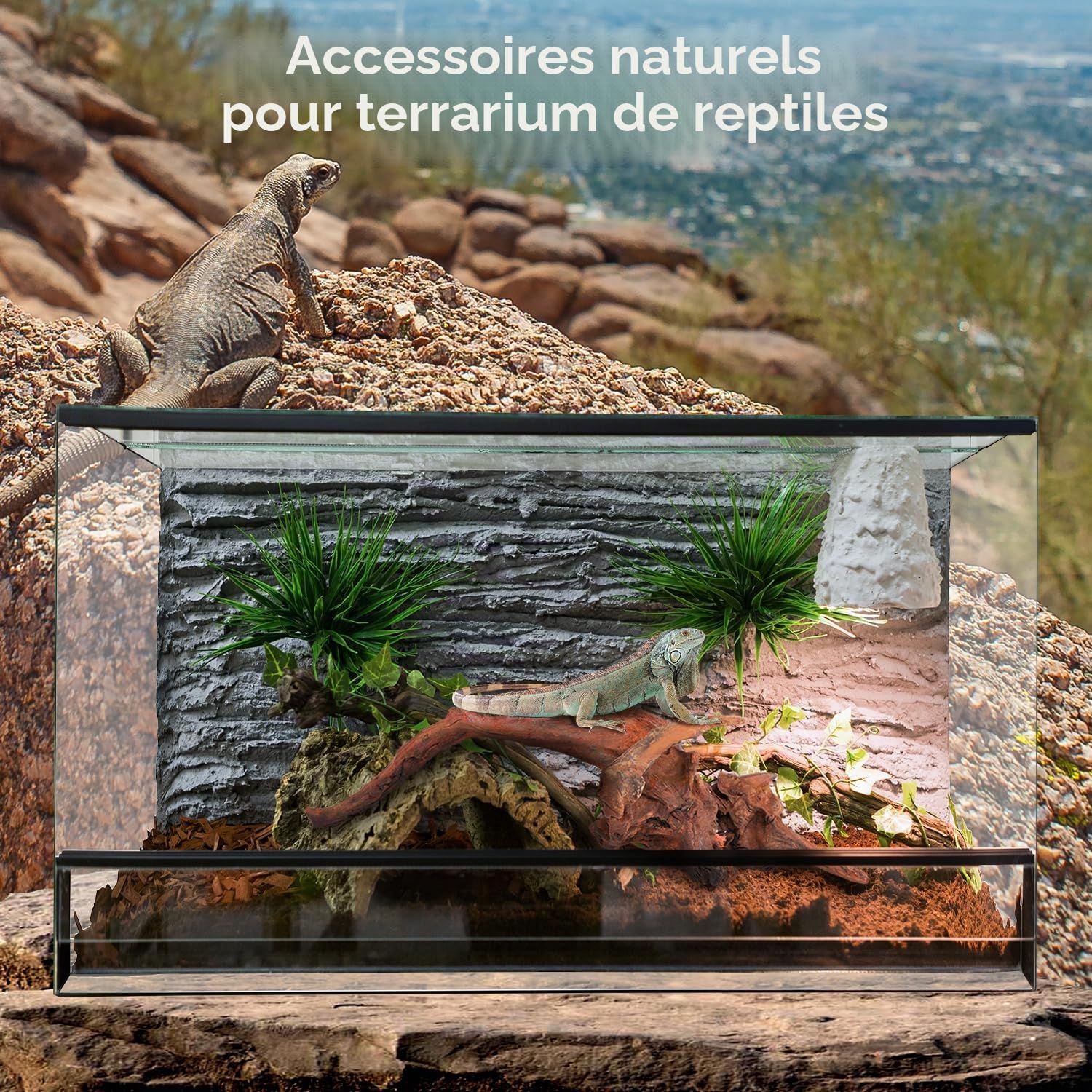 WDEFUN Lot de 2 Bois flotté de Corail Naturel pour Aquarium 254 cm de Long et 381 cm de Long Bois flotté de Grande Taille pour décoration sur Aquarium Aquarium Aquarium Aquarium Aquarium Reptiles.
