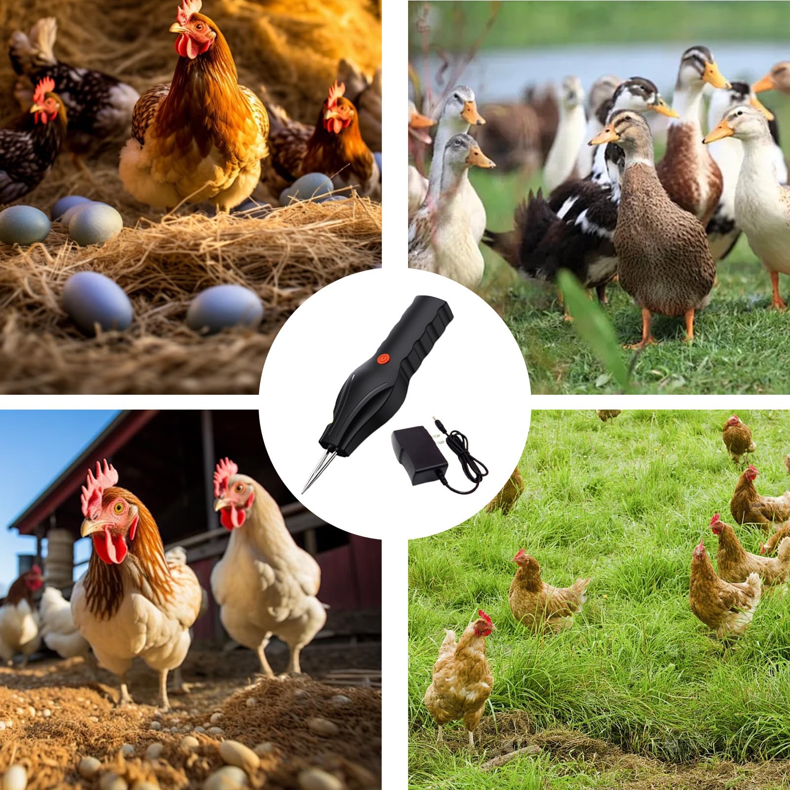 Truthahnrupfer - Handgehaltene Elektrische Rupfzange, Geflügel Truthahn Rupfmaschine,Für Enten Vögel Farm Metzgerei Shop Zuhause Restaurant Camping Kochen Grillen Landwirte