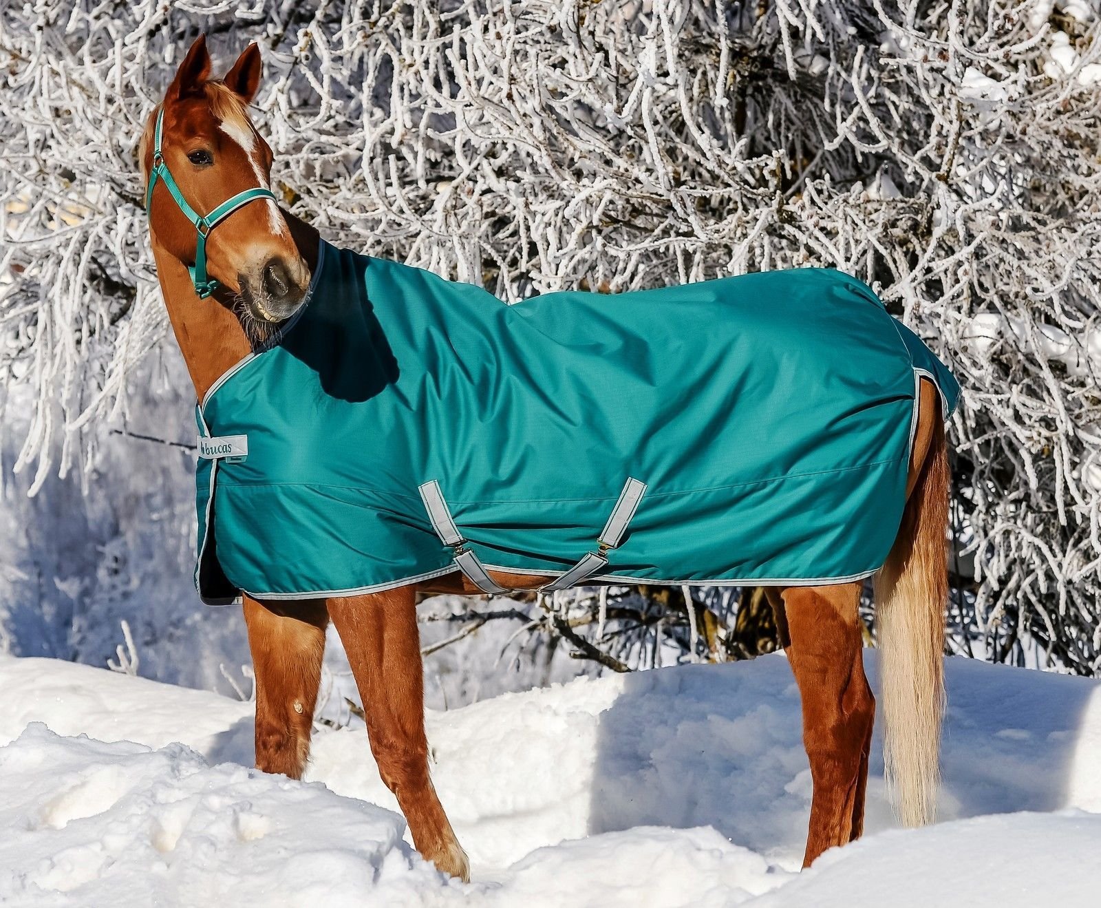 Bucas Freedom Turnout Pony Light - Navy/Silver, Groesse:85