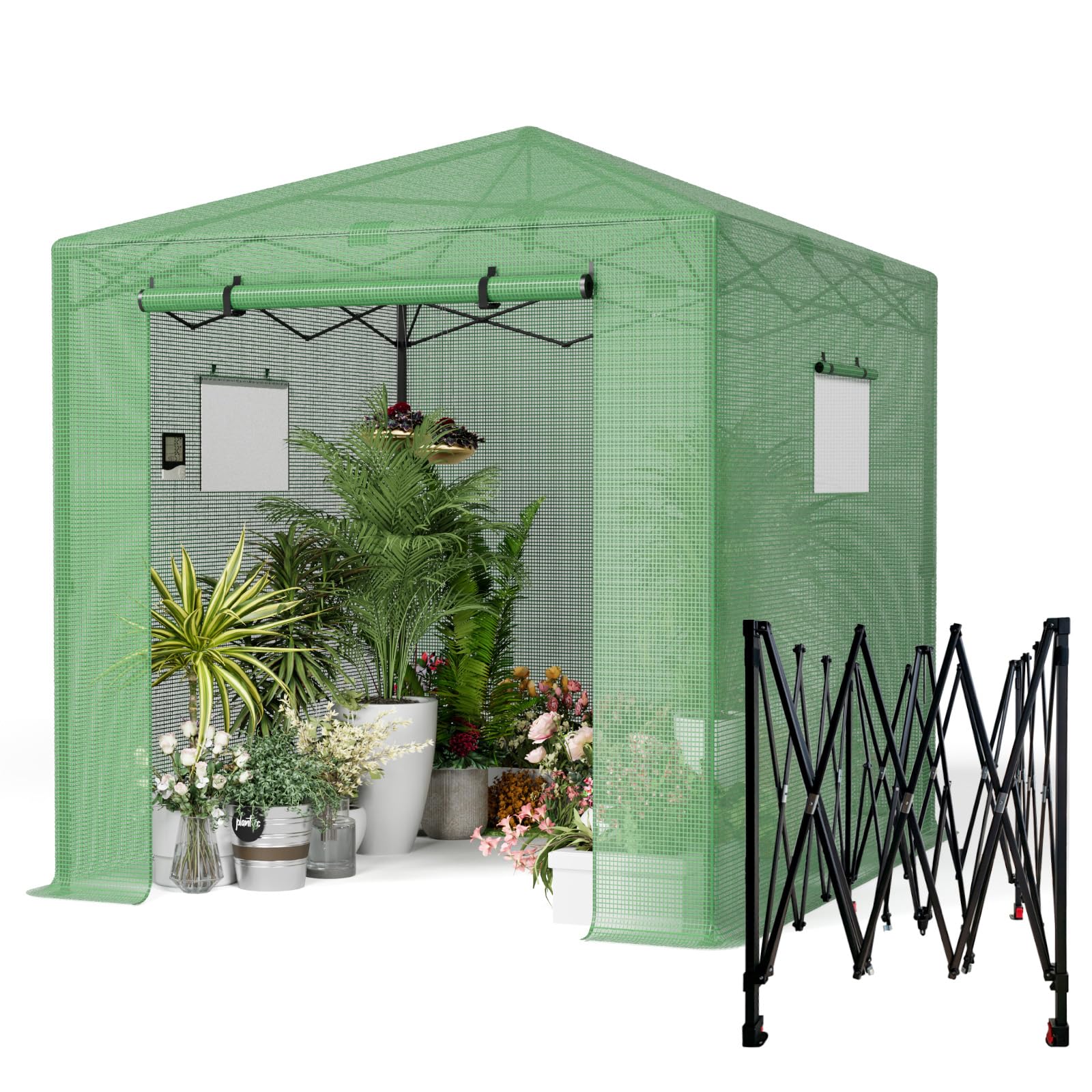 Amazon.com : Pop Up Greenhouse 8x12FT, Pop Up Green House for