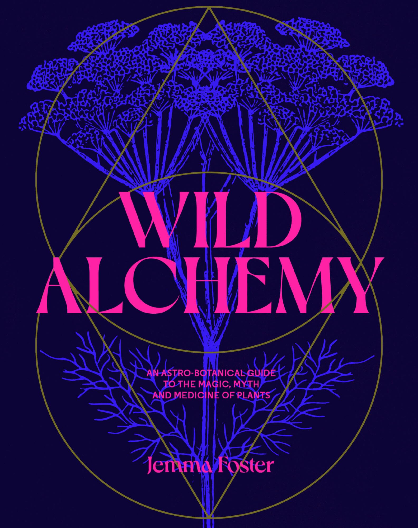 Wild Alchemy by Jemma Foster - 9780857829153