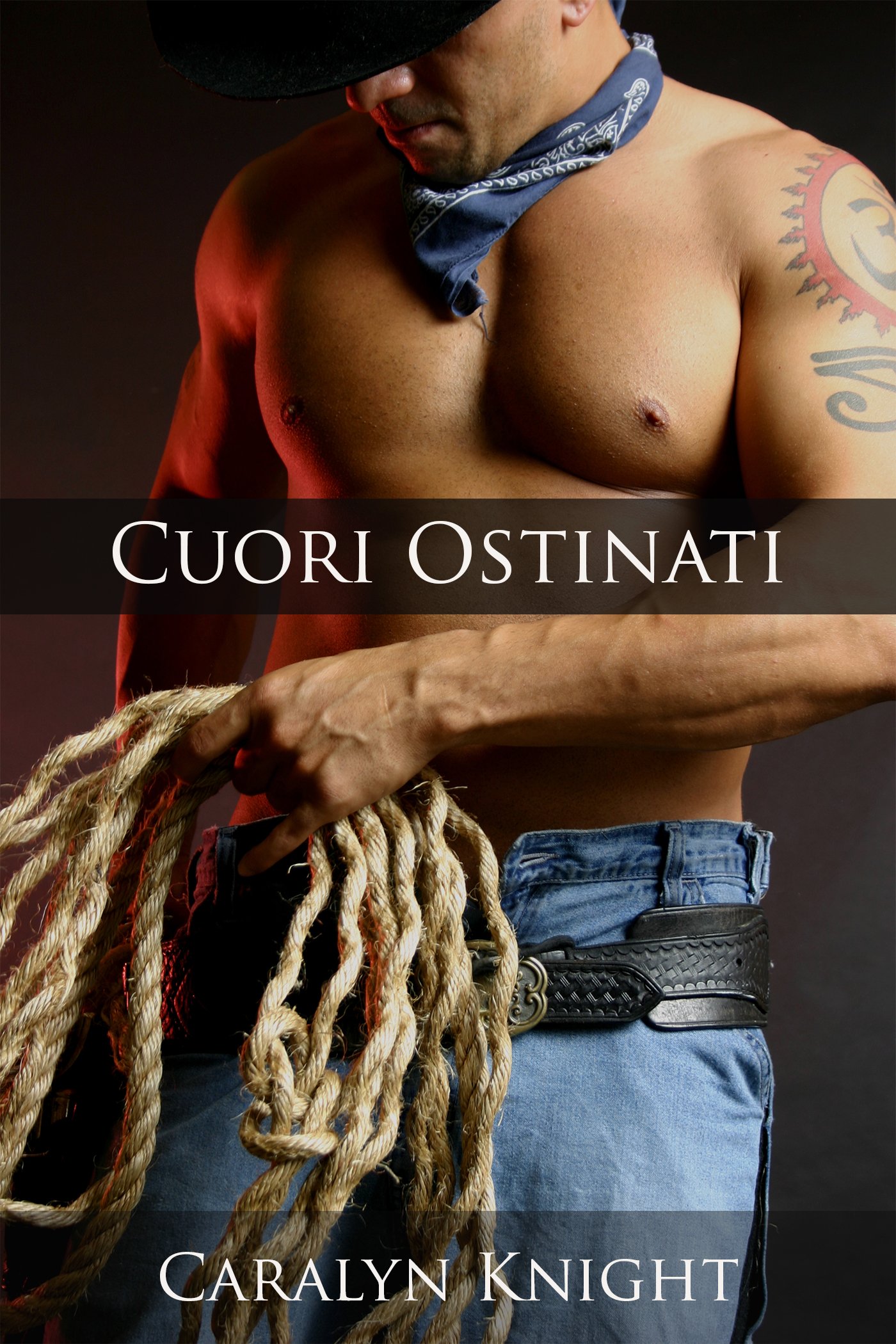 Cuori Ostinati: Una Fantasia Erotica (Italian Edition)