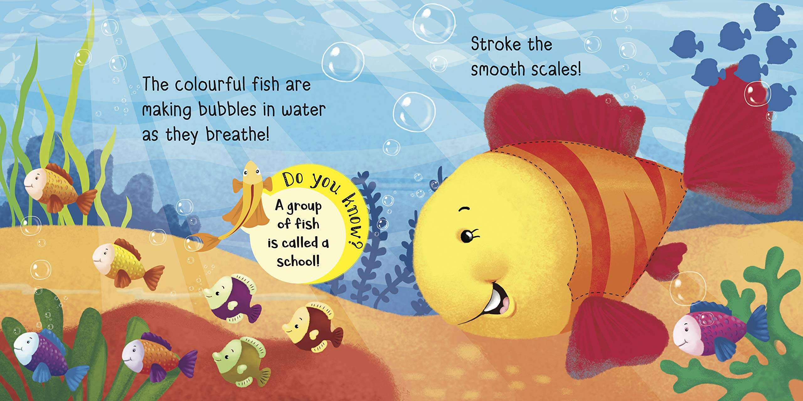 Board Book-Touch and Feel: Sea Friends 1