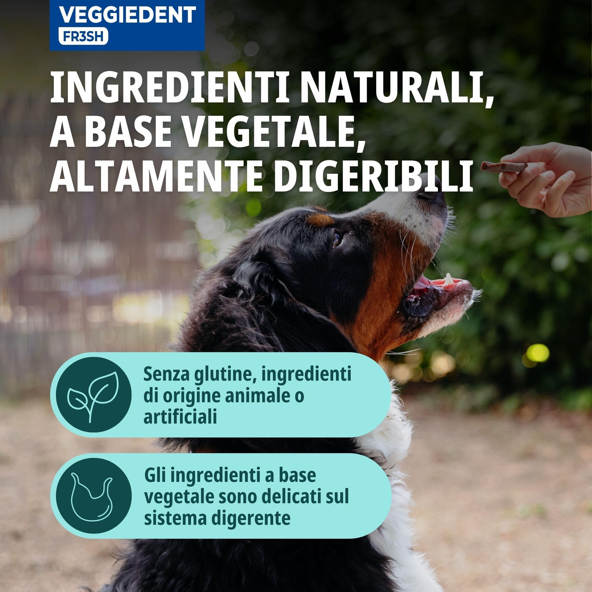 Virbac Veggiedent 15 Strisce per Cani Oltre 13,6 Kilogram Taglia L
