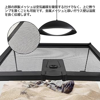 Amazon | Wallfire 爬虫類 ケージ レオパ ケージ 透明 トカゲ