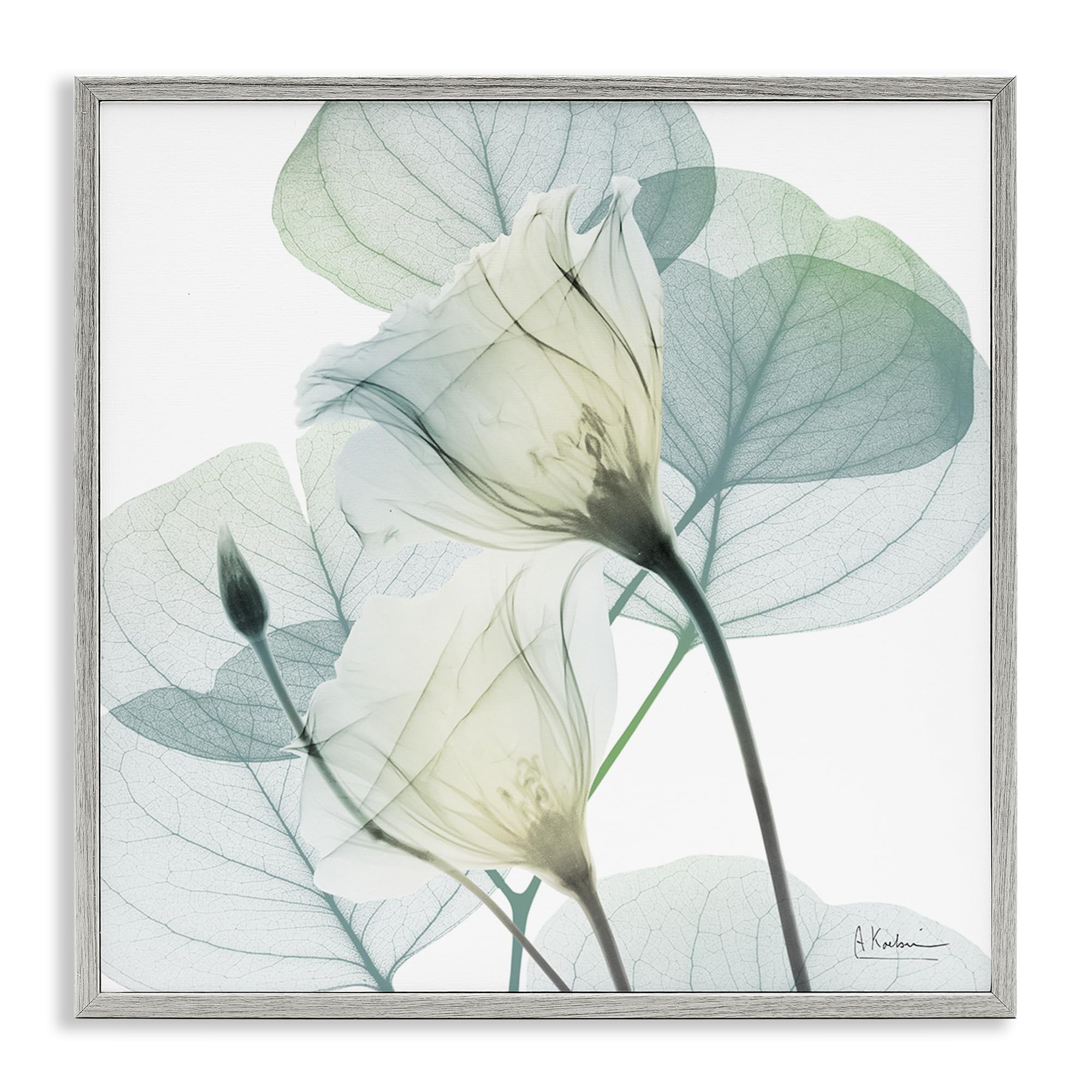 Stupell Industries Delicate Translucent Floral Petals 'Divine Fate Petals'| Framed Giclee Art