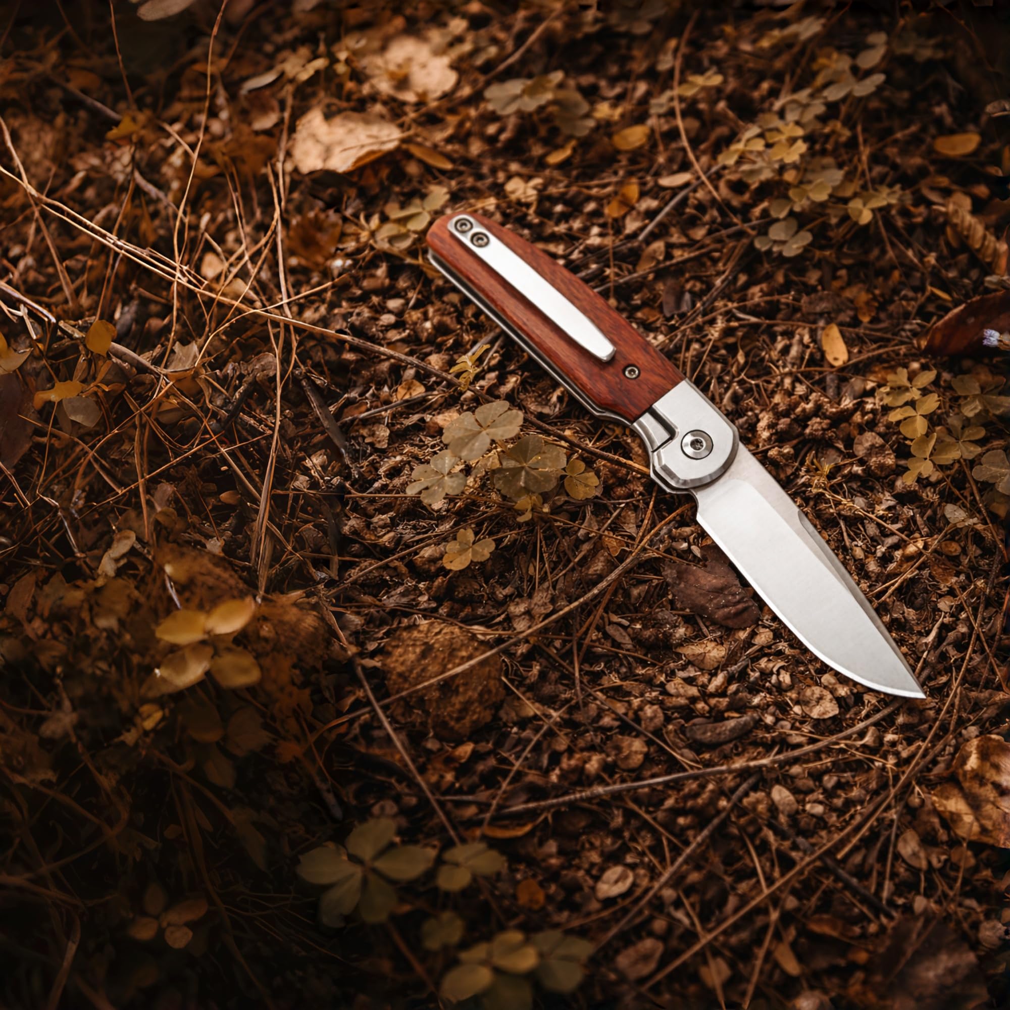 Coltellino tascabile piccolo - Lama D2, impugnatura in legno, clip tascabile profonda - Ideale per campeggio, escursionismo, EDC (Mini)