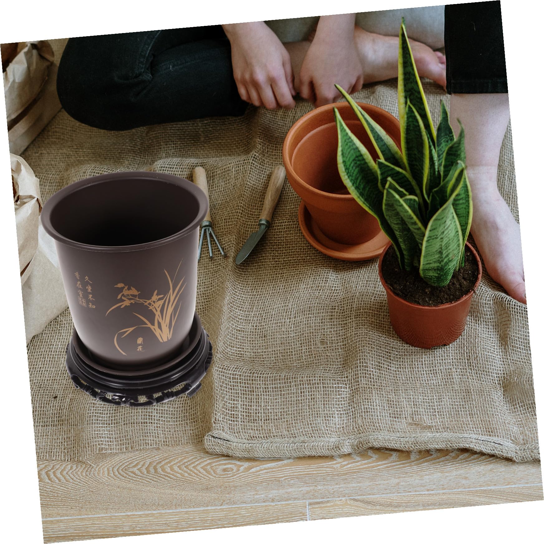 OrchiPots średnica plastikowa doniczka z podstawą odpływową do ogrodnictwa wewnątrz i na zewnątrz, idealna do storczyków i pojemników na kwiaty
