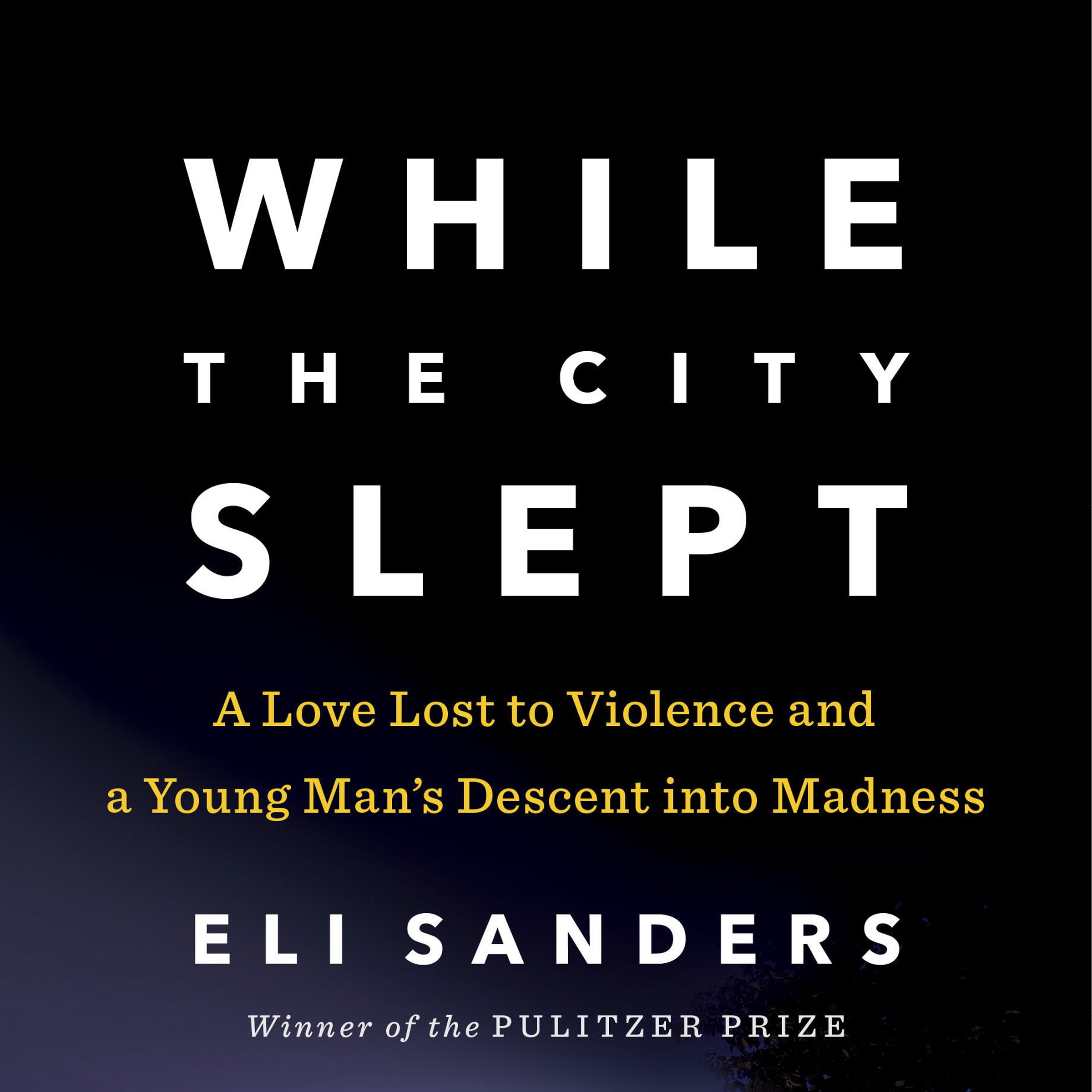 While the City Slept