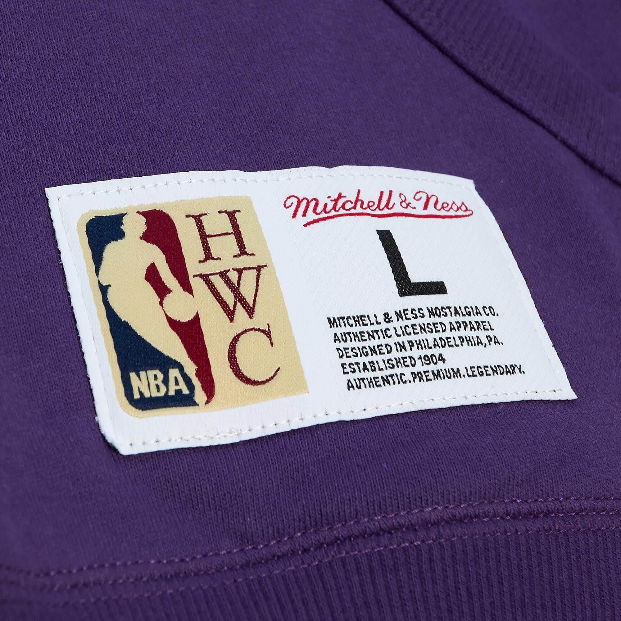 Mitchell & Ness NBA/NFL/NHL/NCAA Hometown Fleece Hoody