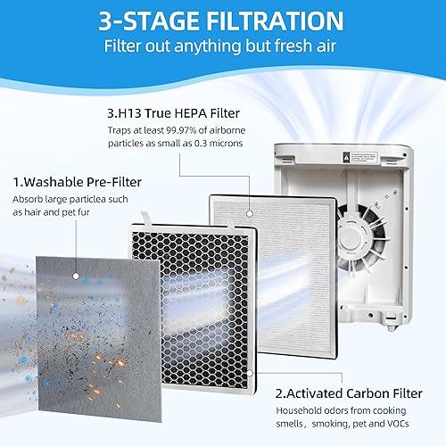 Miniatura 3 de APPLIANCEMATES Filtro de repuesto Vital 100 True HEPA compatible con el purificador de aire LEVOIT Vital 100, H13 y juego de carbón activado de alta