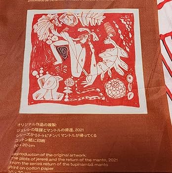 Amazon.co.jp: 大阪 関西万博 ブラジル館 ポンチョ「パランゴレ