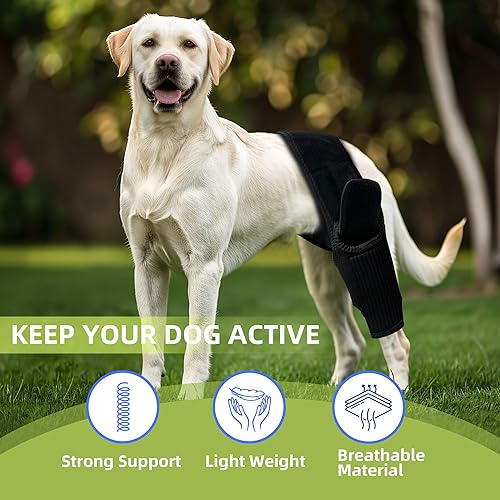Miniatura 2 de Soportes de pierna de perro para pierna trasera, soporte de ACL para perro para desgarro y espalda, patas traseras desgarro de ACL, soporte