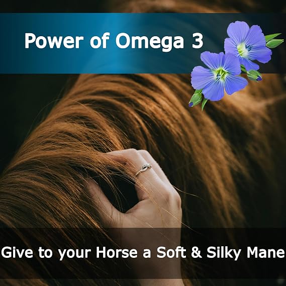 Equine & Horse Oil Supplement 3 Natural Oils Flaxseed Sunflower Carrot Omega 3 6 9 Vitamin E Silky Coat & Hoof Digestion Facilitator Joint Health Cardiovascular System Benefits-Pump Included
