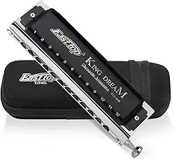 East top Chaveiro de gaita cromática King Dream, 12 furos, 48 tons, gaita de órgão de boca profissional para adultos, profissionais e estudantes (48K)